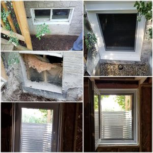 60089934_417959329025237_4112416621685899264_n